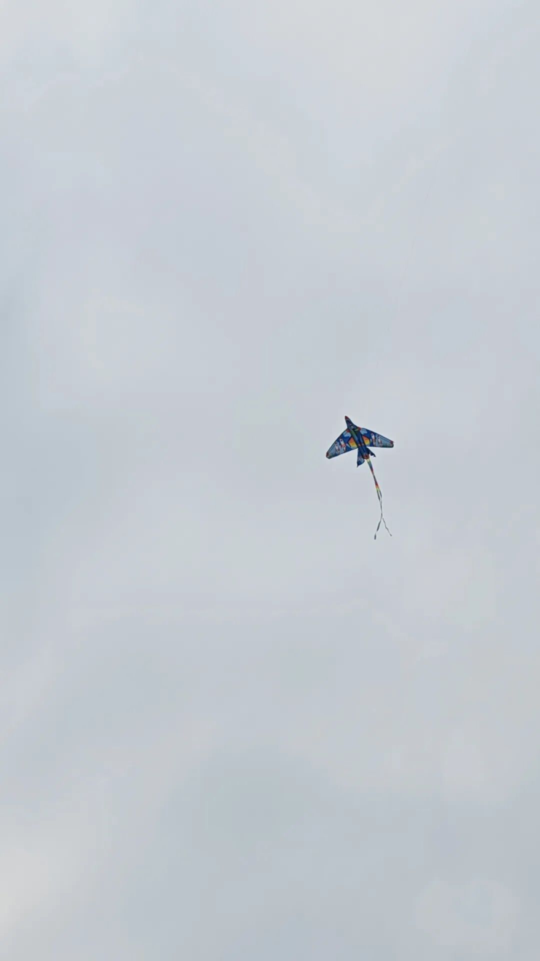 1774406681391374.jpg 21.jpg